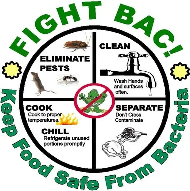 Fighting Bacteria